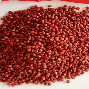 গুয়েত মালা ঘাস বীজ ১ কেজি